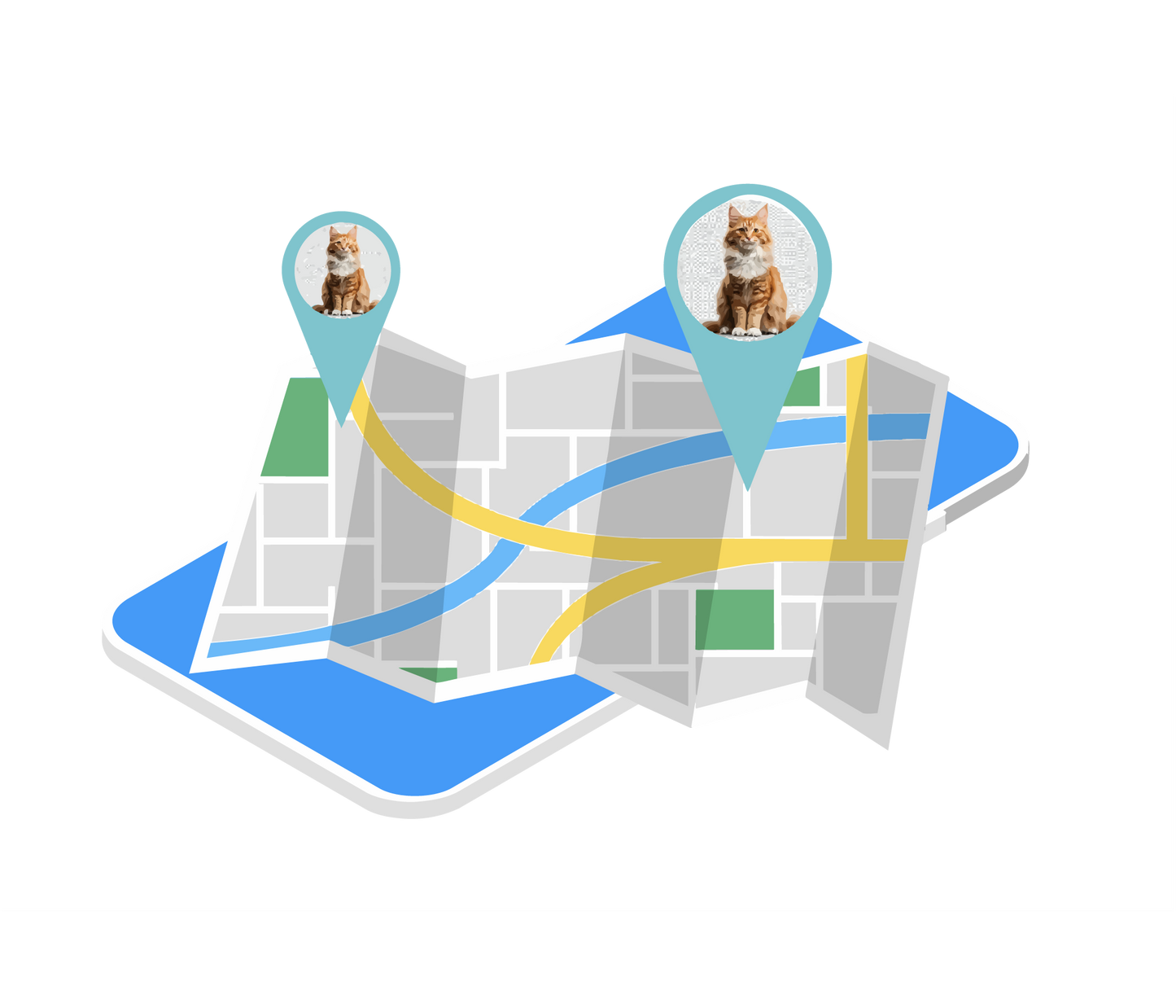 Purrtrieve Service Plan
