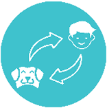 Two-way voice communication
