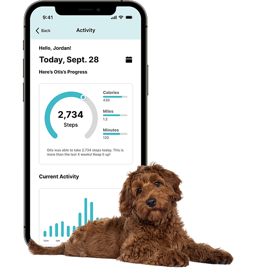 Pet Health Tracker