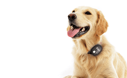 Furtrieve Pro GPS Pet Tracker