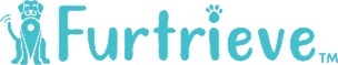 Intro Logo