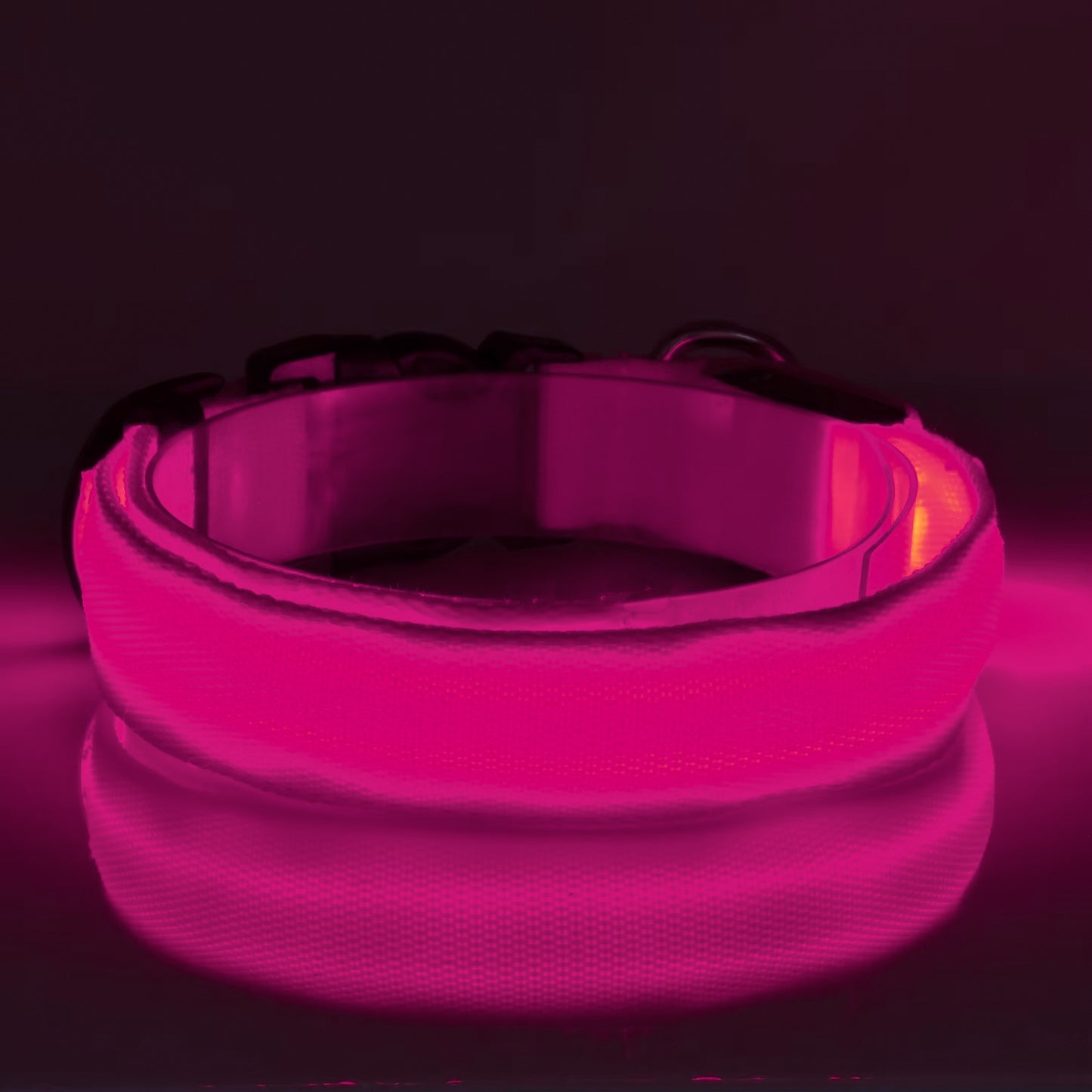 Furtrieve Pro Collar