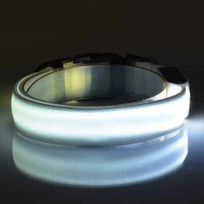 Furtrieve Pro Collar